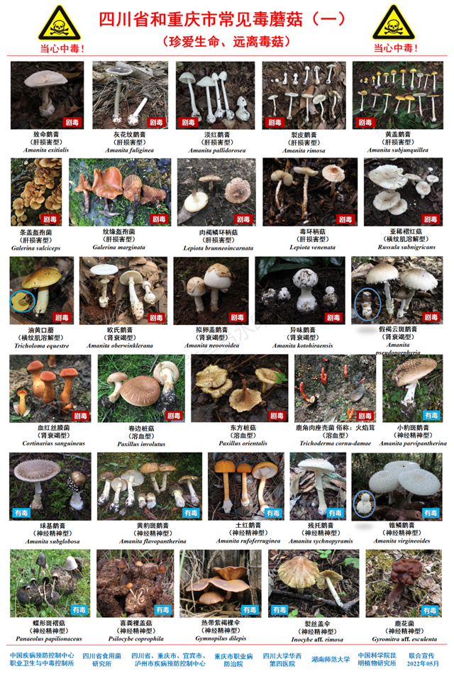 微信圖片_20231020093743.png