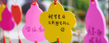 10.gif