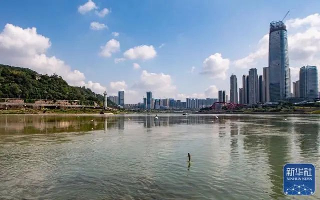 宜賓三江口有人非法捕撈？官方回應(yīng)：系生物資源監(jiān)測