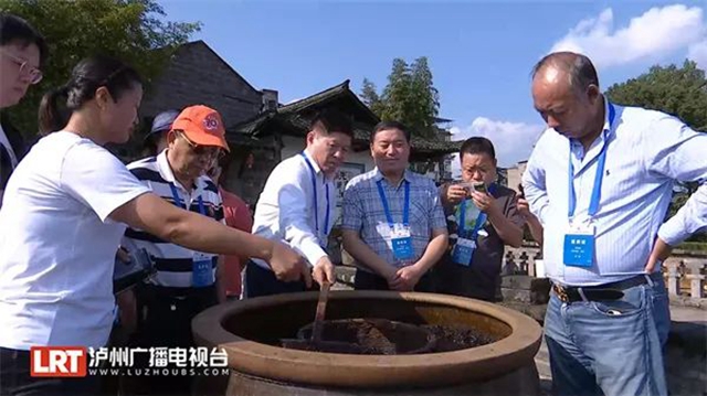來自美國、比利時、澳大利亞……海外華文媒體記者走進瀘州