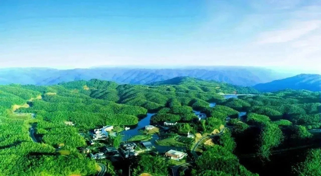 初冬的味道，從合江玉蘭山的“年豬湯”開始！
