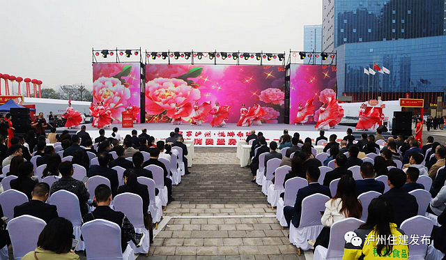 跨界聯(lián)合 | 2023年瀘州商文旅消費(fèi)暨房地產(chǎn)展示交易活動(dòng)開幕