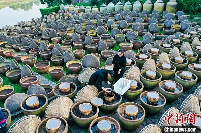 四川日?qǐng)?bào)關(guān)注合江縣先市醬油混合用地改革