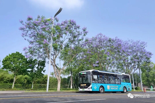 去瀘州市政務(wù)服務(wù)中心新址坐哪路車？6條公交線路可直達(dá)！