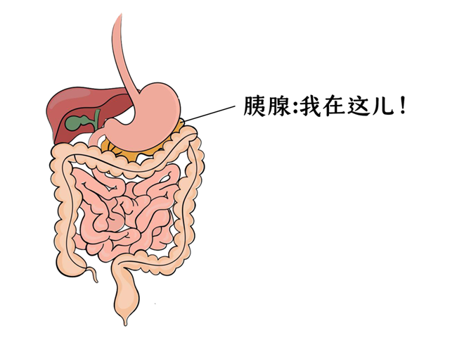 【提醒】它是“癌中之王”，卻常被誤認(rèn)為是胃?。〕霈F(xiàn)這4個(gè)癥狀，別再拖