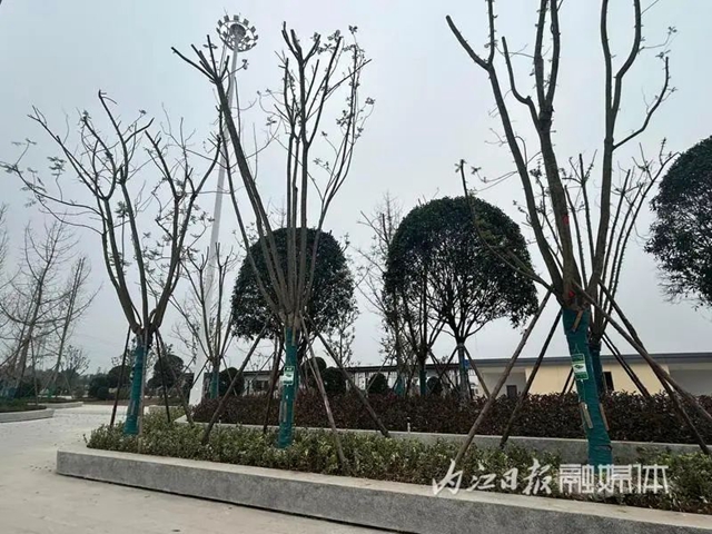 微信圖片_20231206111105.jpg