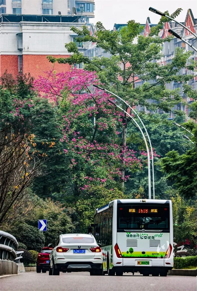 微信圖片_20231207103615.jpg