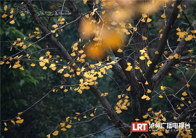微信圖片_20231207114127.jpg