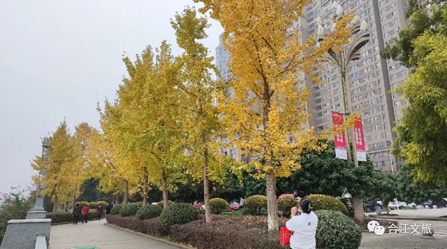 微信圖片_20231213094700.jpg