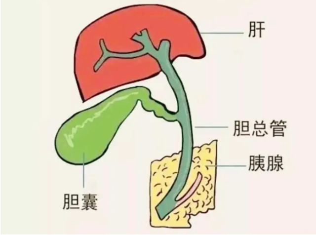 微信圖片_20231215102720.png
