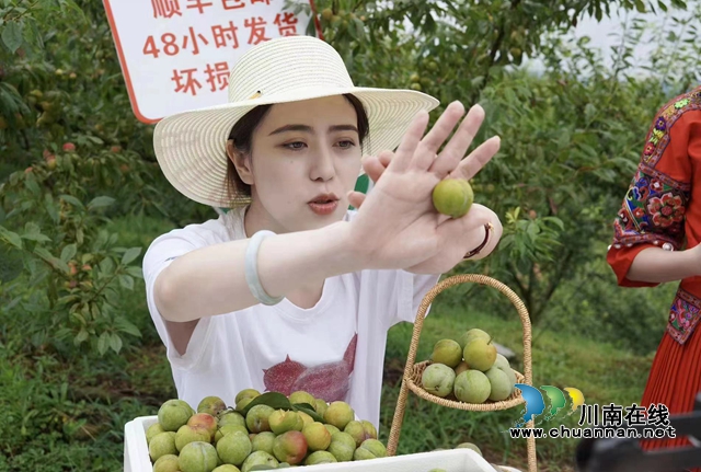 四川省唯一，全國(guó)前三十！敘永縣成功入圍中國(guó)國(guó)際電子商務(wù)中心農(nóng)村直播電商優(yōu)秀案例