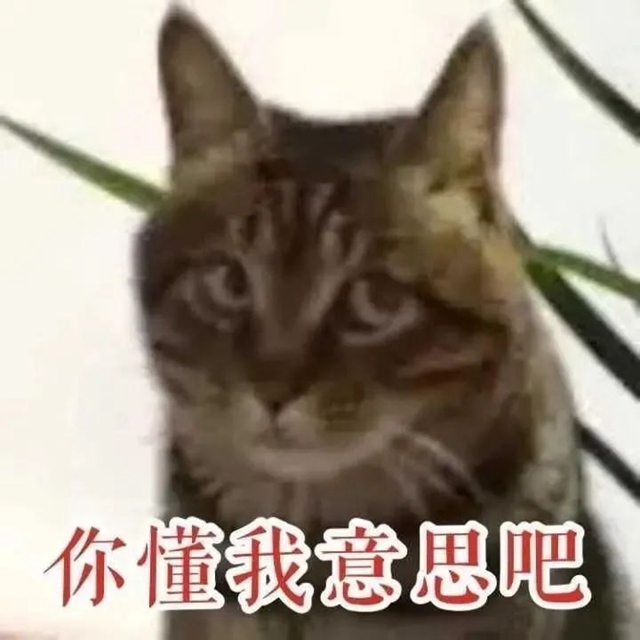 【健康科普】冬至，這些“養(yǎng)生秘籍”請收藏→