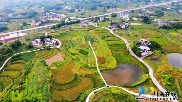 高標(biāo)準(zhǔn)農(nóng)田項目.jpg