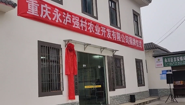 全國首個！瀘州牽手永川，開了個新公司