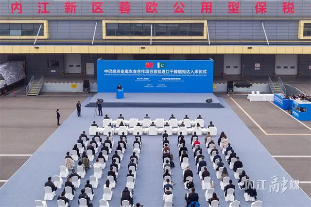 駛?cè)搿爸邪徒?jīng)濟走廊”！巴基斯坦182噸干辣椒已入庫內(nèi)江——