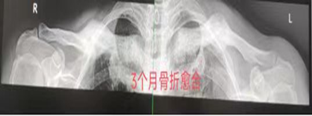 微信圖片_20240131091508.png
