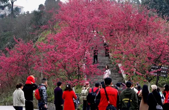 瀘州新增多個(gè)好玩好看網(wǎng)紅點(diǎn)，公交專班可直達(dá)→
