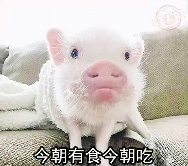 【圍觀】春節(jié)，你可以這樣“胡吃海喝”
