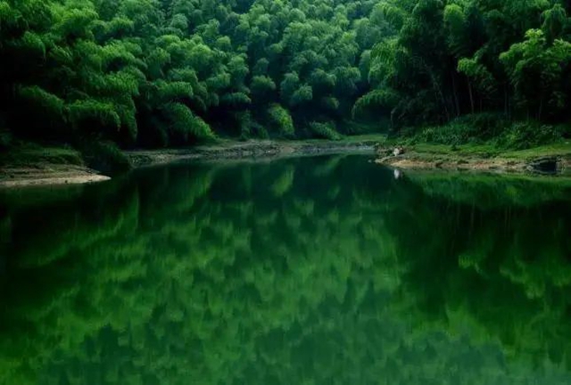 春游蜀南何處去？宜賓推出7條中醫(yī)藥康養(yǎng)旅游線路