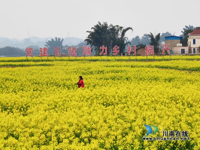 花開海潮 幸福如潮｜3月8日至10日，瀘縣海潮鎮(zhèn)邀請你參加“花田喜事花神節(jié)”活動