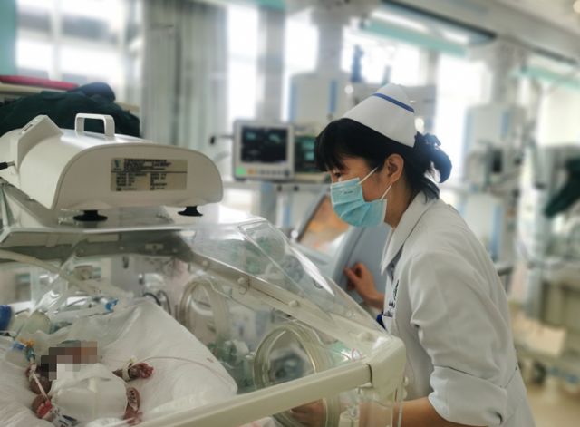 “龍寶寶”們，抬頭啦！