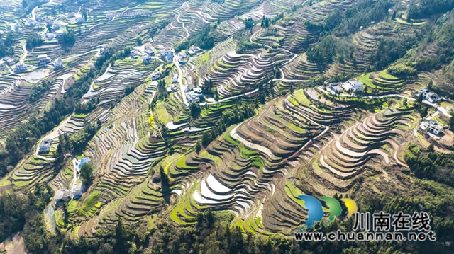風(fēng)1.jpg