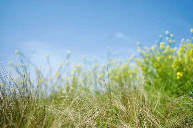 “感冒”后一直咳咳咳咳？中藥防治處方大公開！