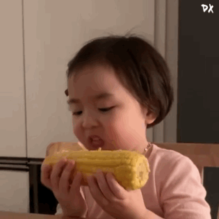 微信圖片_20240321093005.gif
