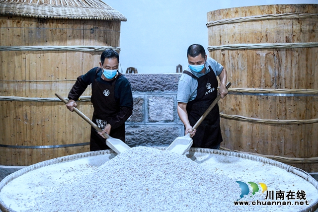 2024年3月23日，四川省瀘州市合江縣先市醬油作坊里，工人在用面粉拌和大豆。.jpg