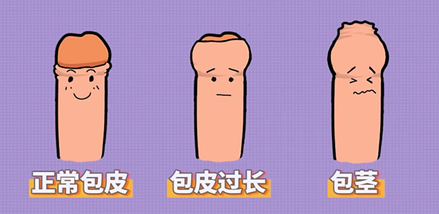 微信圖片_20240326104229.png