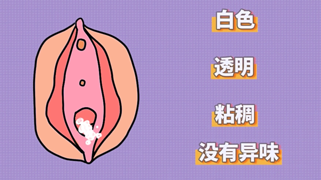 微信圖片_20240326104319.png