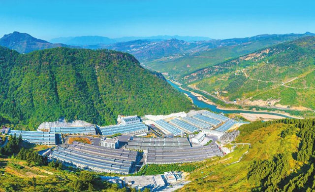 古藺深入實施“六大世界一流”培育工程 高質量建設赤水河左岸千億級優(yōu)質醬酒產(chǎn)業(yè)集群