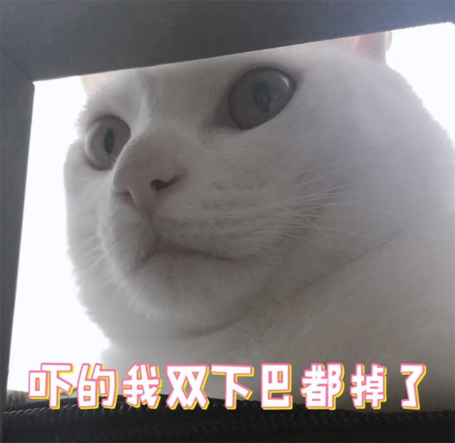 【真事】瀘州小學(xué)生下巴……掉了！