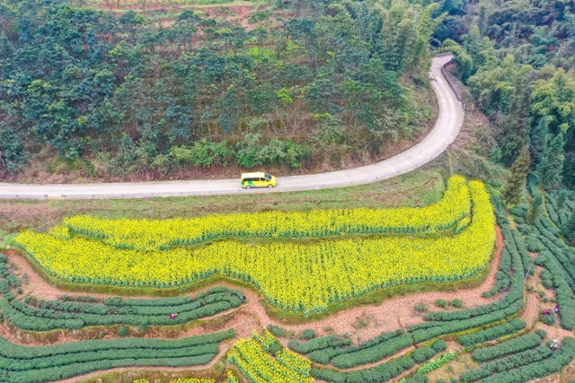 無人機2.jpg