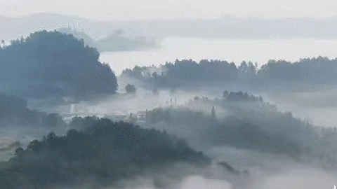 微信圖片_20240428095242.gif