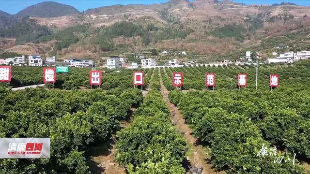 落入貪腐陷阱的縣委書記