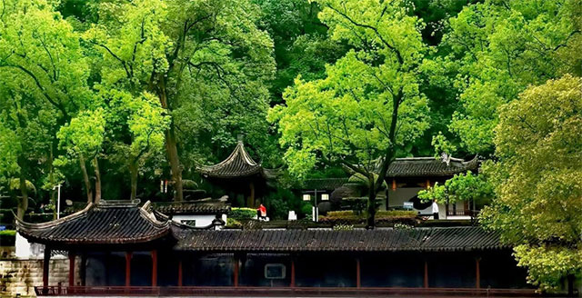 最后一天假，跟巴妹兒一起坐瀘州公交逛公園、游景區(qū)吧