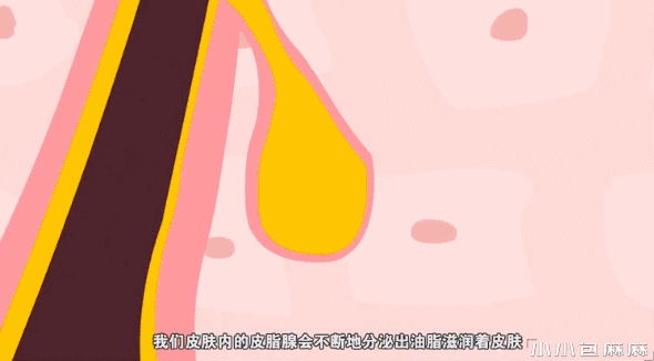微信圖片_20240515103734.gif
