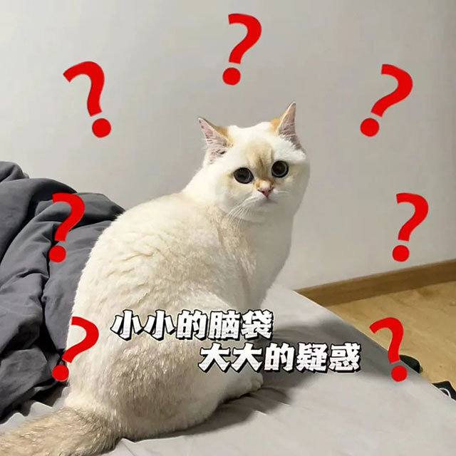 【視頻】體外沖擊波碎石后，我需要做什么？