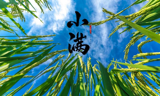 【圍觀】氣溫升！升！升！今天起，串串、火鍋要少吃！