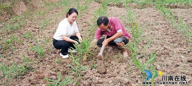 圖2：黃永向村民了解生姜產(chǎn)業(yè)發(fā)展.jpg