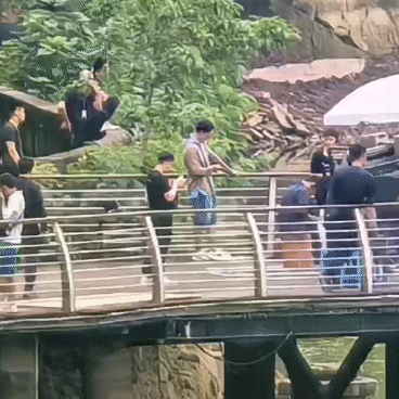 微信圖片_20240607103549.gif