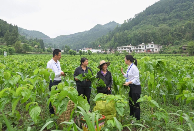 中國紀檢監(jiān)察報丨瀘州市開展農(nóng)村集體“三資”管理突出問題專項整治