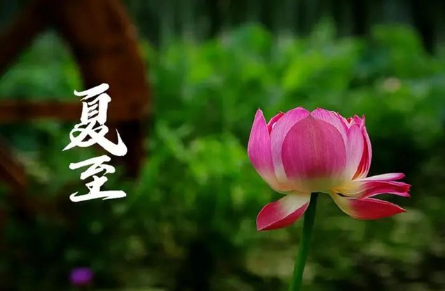 【擴(kuò)散】滿臉油光、全身黏糊糊，可能是中毒……