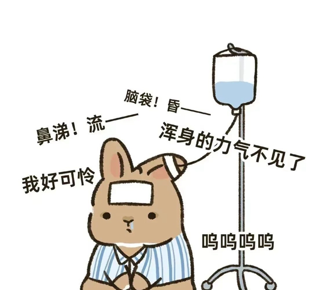 有人吊上金龜婿，有人吊上白富美，而我卻吊上鹽水