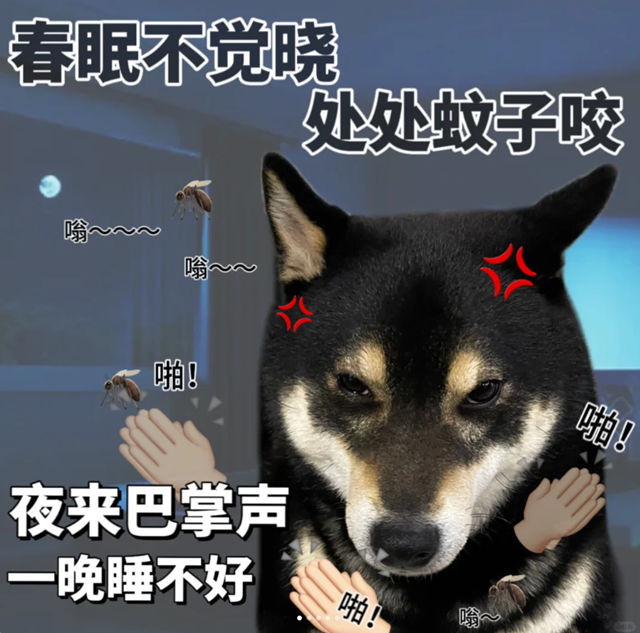 沒(méi)想到令我失眠的，不是愛(ài)情，而是蚊子……