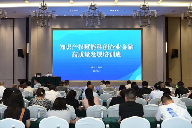 瀘州：從“知產(chǎn)”到“資產(chǎn)”，知識(shí)產(chǎn)權(quán)賦能科創(chuàng)企業(yè)金融高質(zhì)量發(fā)展