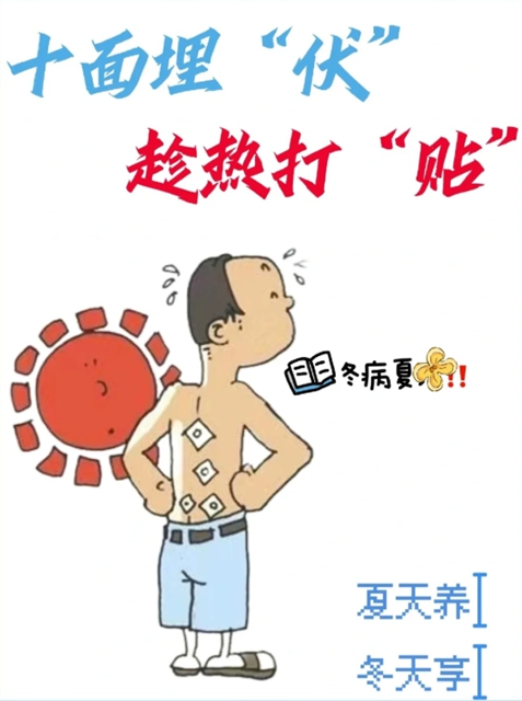 【圍觀】“三伏貼”開(kāi)貼啦，還沒(méi)貼的趕緊安排上……