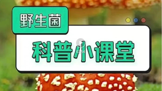 【溫馨提醒】又到吃菌季，“防毒”攻略了解一下！