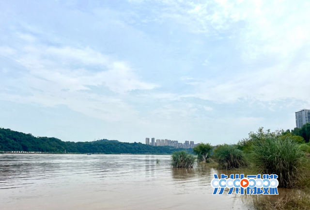 到20日水位將累計上漲超3米丨瀘州市防汛救援辦最新提醒→